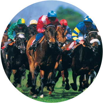 A group of riders race on horses, wearing assorted colors of racing clothes and helmets.